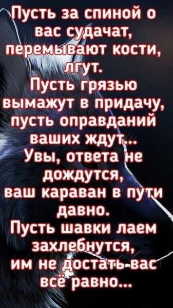 IMG 20240827 075138