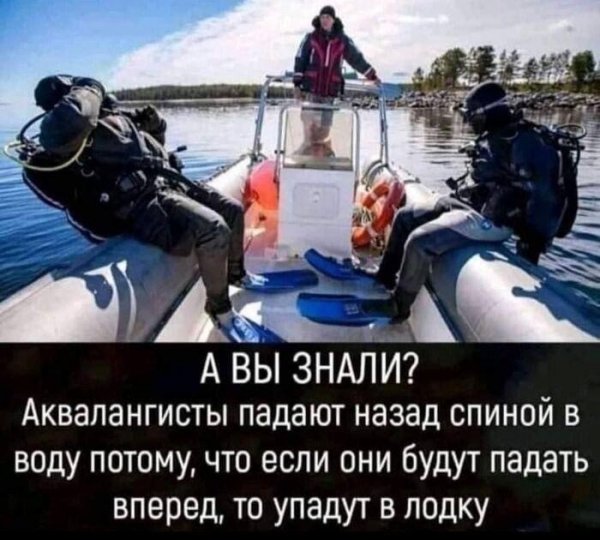 picture_412395891