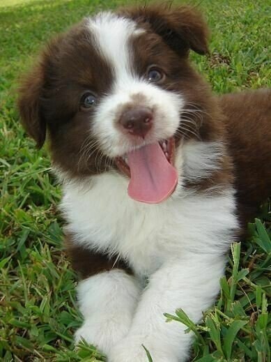 image (3) - 2020-11-04T010506.665