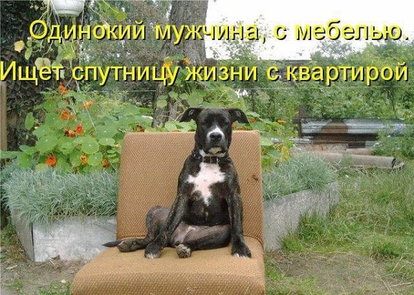 image (5)