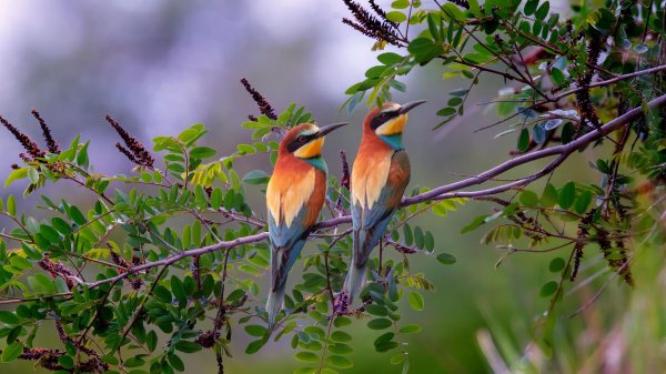 4ba621a7894ceb2fcefed137720bdecb