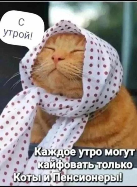 IMG 20260115 094922 133