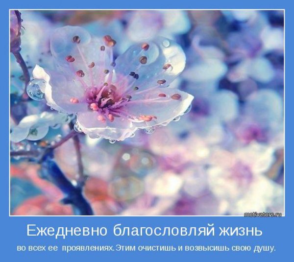 novye-motivatory-6