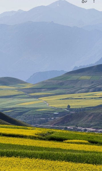 Screenshot 20250321-124636 One UI Home