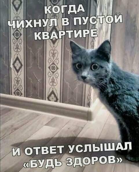 FB IMG 1609479232148