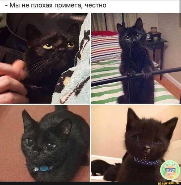 1ca768f097f9f3fa5a8c38204397d3b5464f623a74e9a427f8061c5b8fc2f