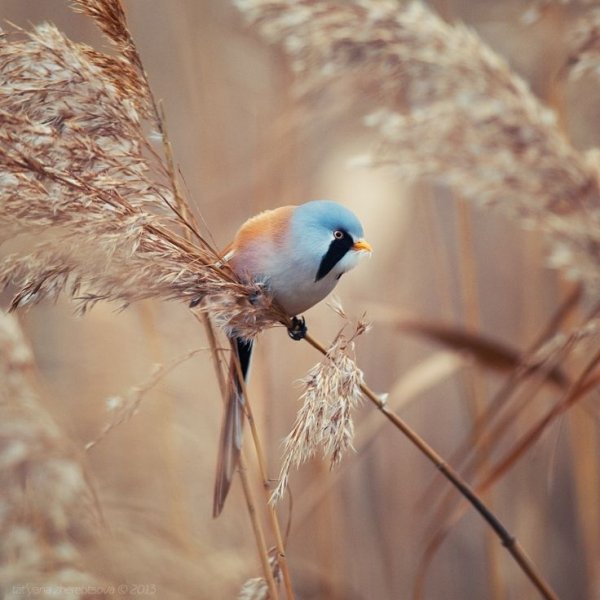 d81895e9406dc0e3817c2794b46d0