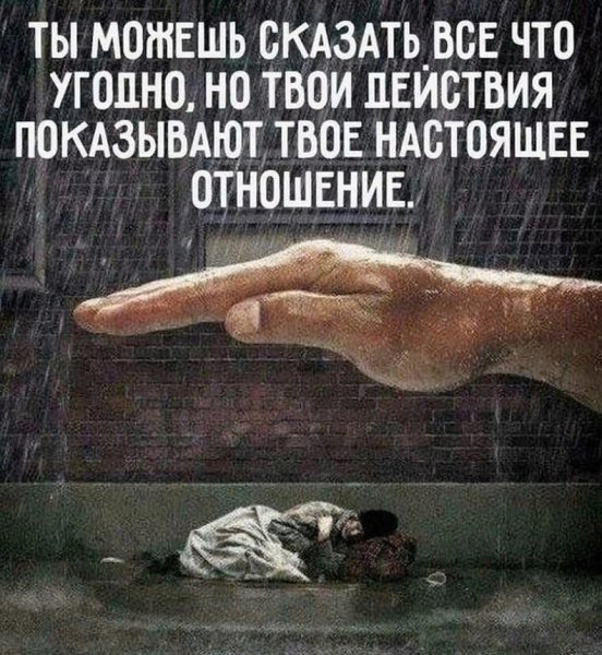 Цитата
