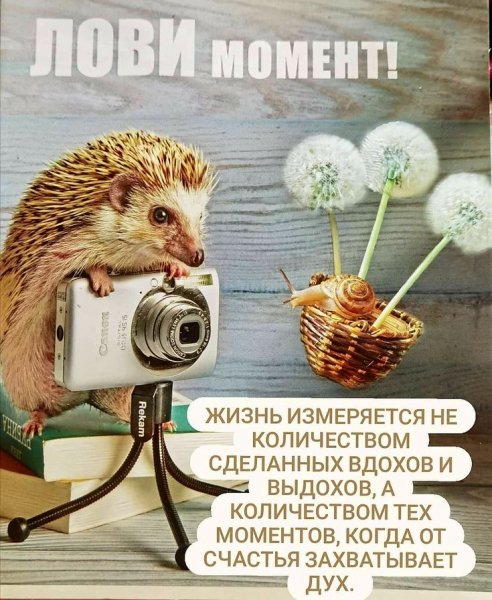 A747e68b096457c9baef3b181010c5c8