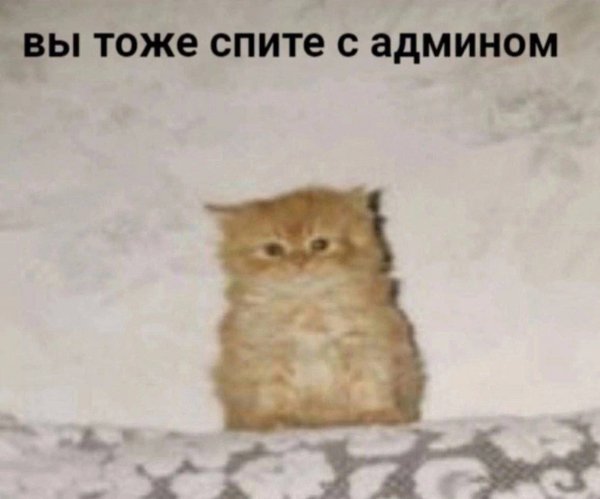 picture_412696380
