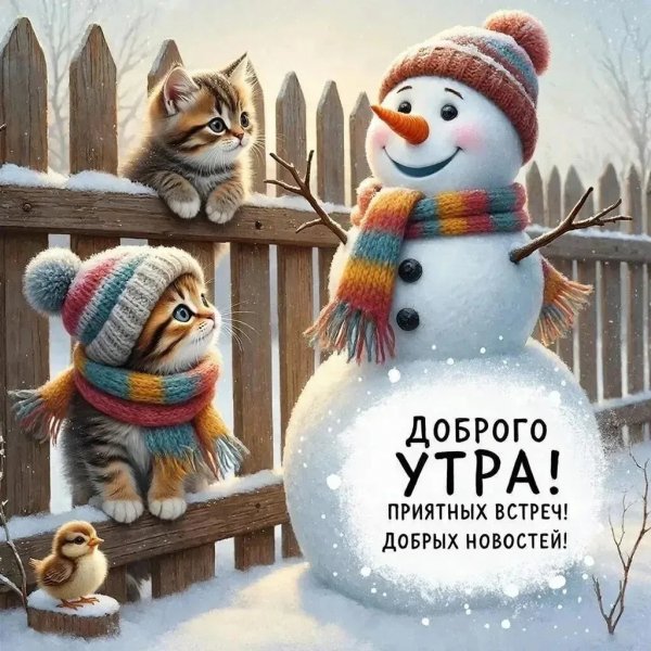 IMG 20260130 092942 437
