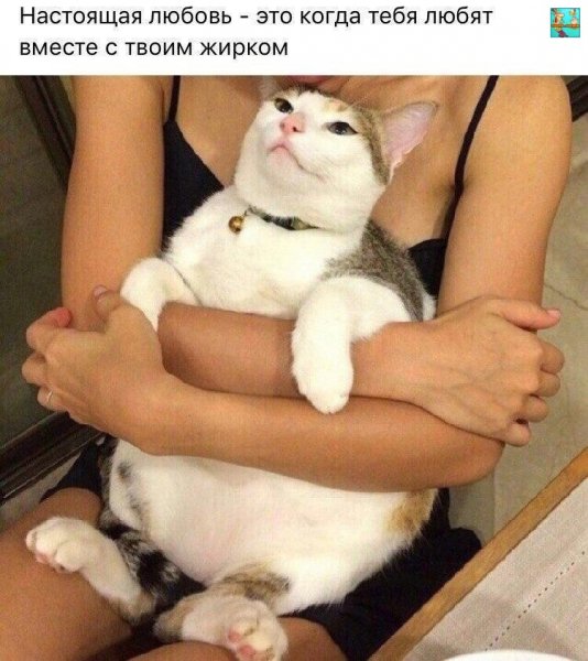 Z3imMRzlIoQ