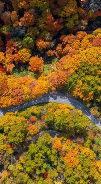 Screenshot 20251201-022137 One UI Home