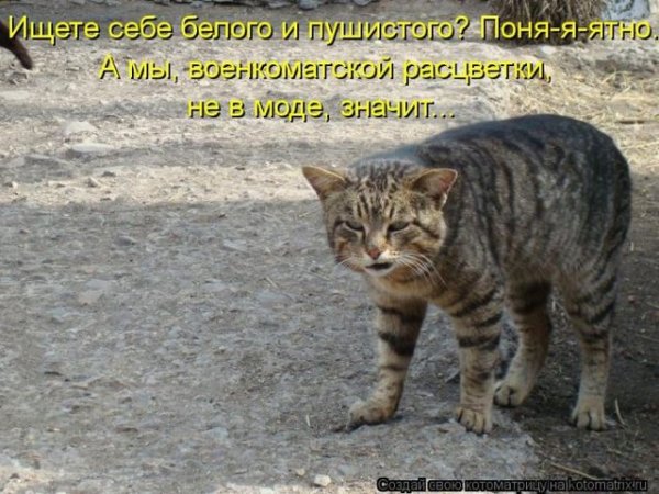 Не в моде