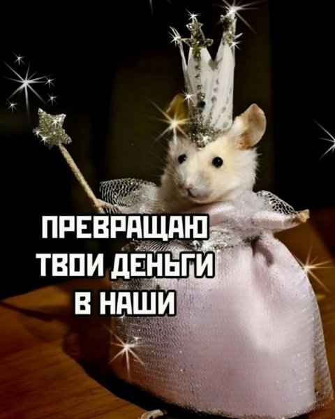 2b2719ea13 samyj-chernyj-jumor-v-memah-9