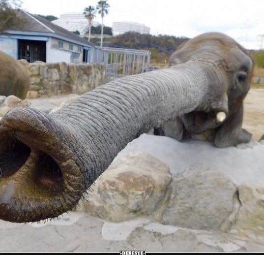 Ba0773644df1e71ba7368b7e97cb963f