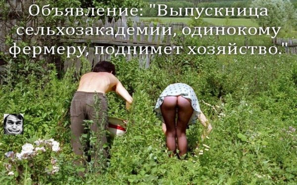 IMG 20170719 132722 1