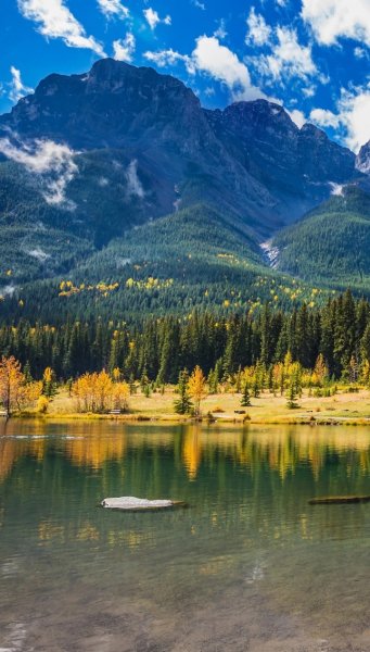 Screenshot 20251220-000643 One UI Home