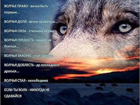 getImage