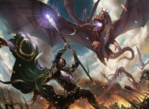 драконы 002302