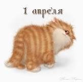 images-269