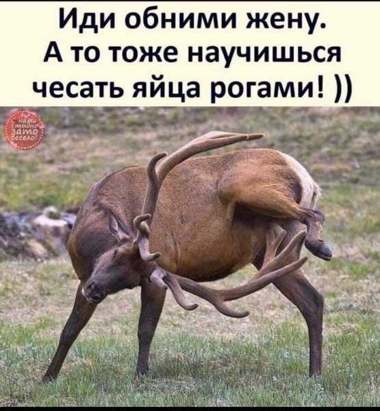 )