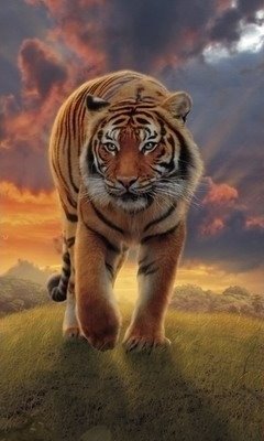 Уссурuйскuй тuгр