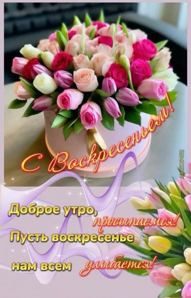 Друзья мои!
