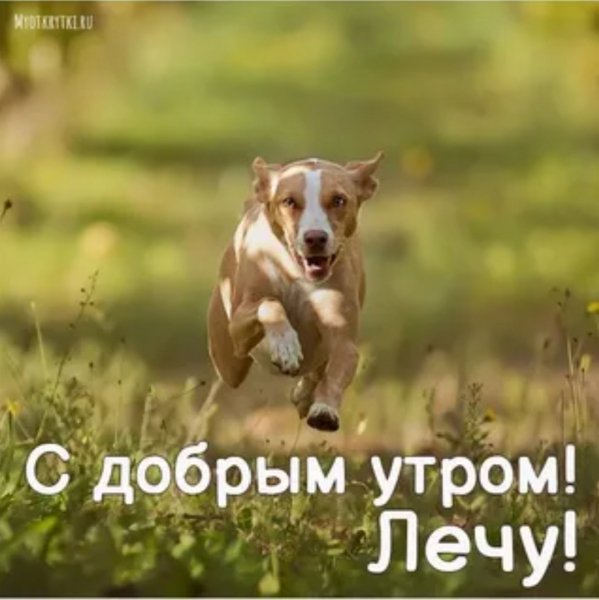 Лечу!