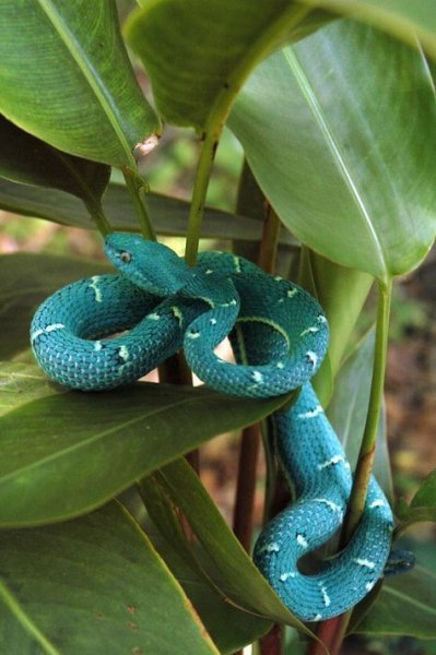 97ceee1200f044a49a1e8efe97577110