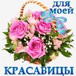 розы