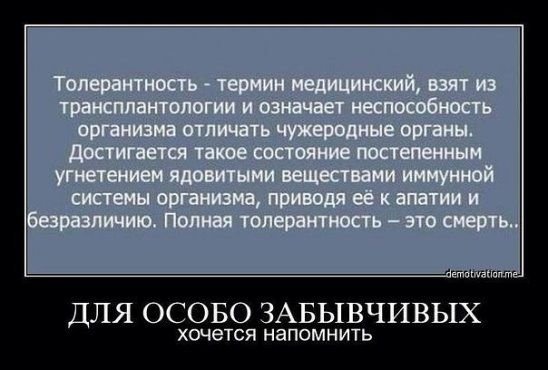 d425dd47592311464cf5b1a8f87d0655
