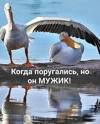IMG 20230521 014740