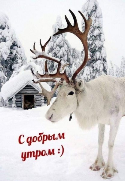 FB IMG 1608166557068