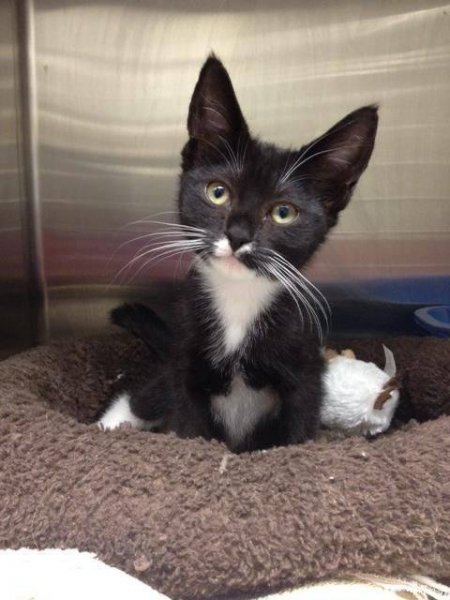 c659a-7b27-4de0-a607-f07e8bb43425