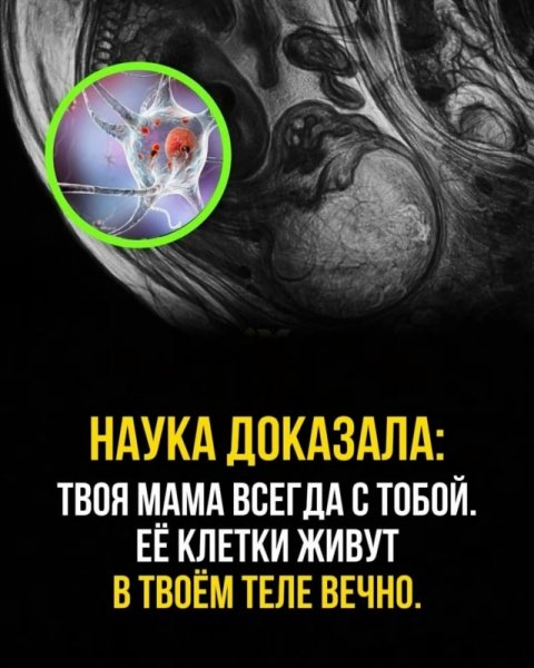 WsxzsrMVrPm9zgdOoXvm8YEqNSUpW5u-azIouO37tT9fSliA jH1 SfGkSS-