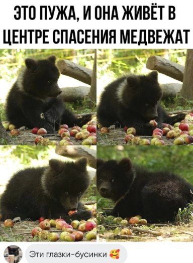 Смешные картинки ~57