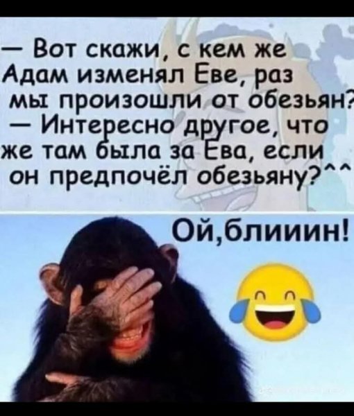 FB IMG 1739951789178