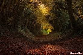 images (38)