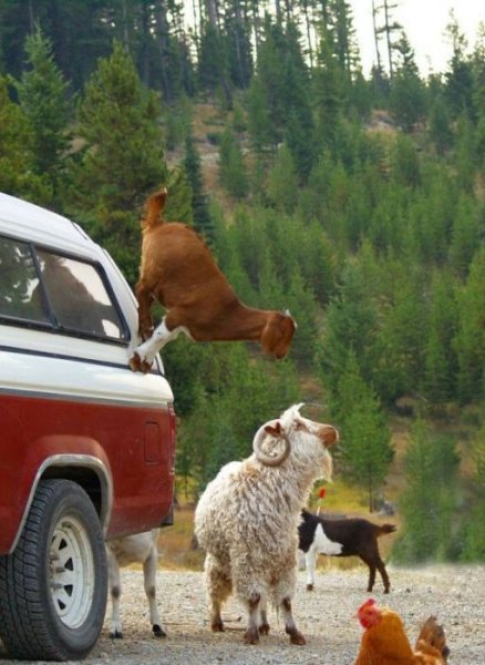 v nujnyiy moment chast 17 146