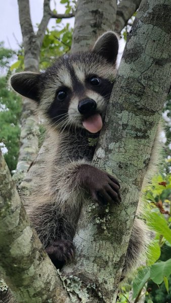 Ну здрасте вам