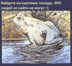 Лошадь