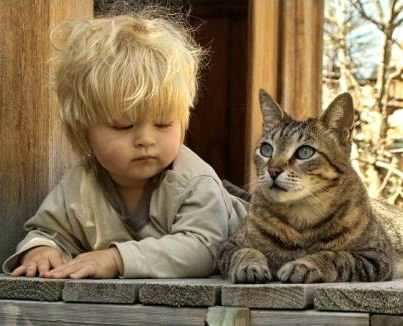 Неразлучные друзья