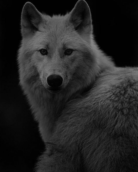 09-36-35-221417264 214766343986889 2794676208345677140 n