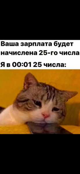 IMG 20250529 114550 723