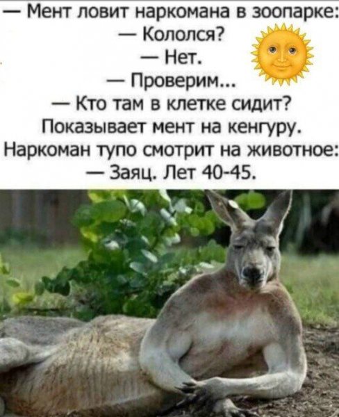 Заяц