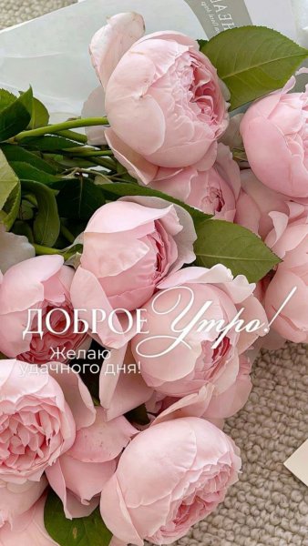 IMG 20260406 230025 362