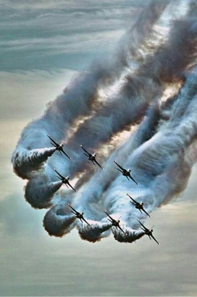 Хорошо идут..