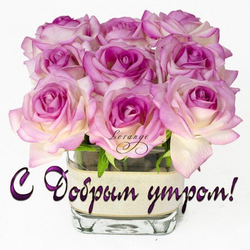 доброе утро