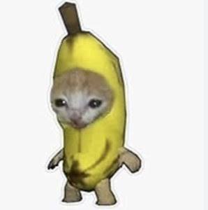 Banana Cat